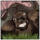 mega moolah slot buffalo symbol