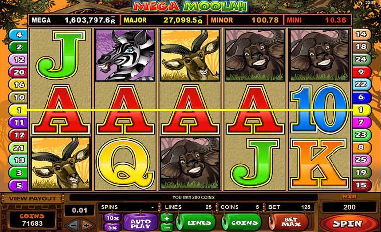 mega moolah win