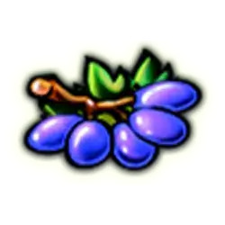 symbol grapes mega joker slot