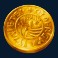gold coin
