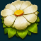 wild swarm slot white flower symbol
