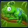 Chameleon