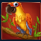Parrot