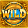 Gong Wild