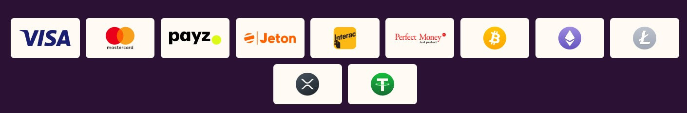 bizzo payments