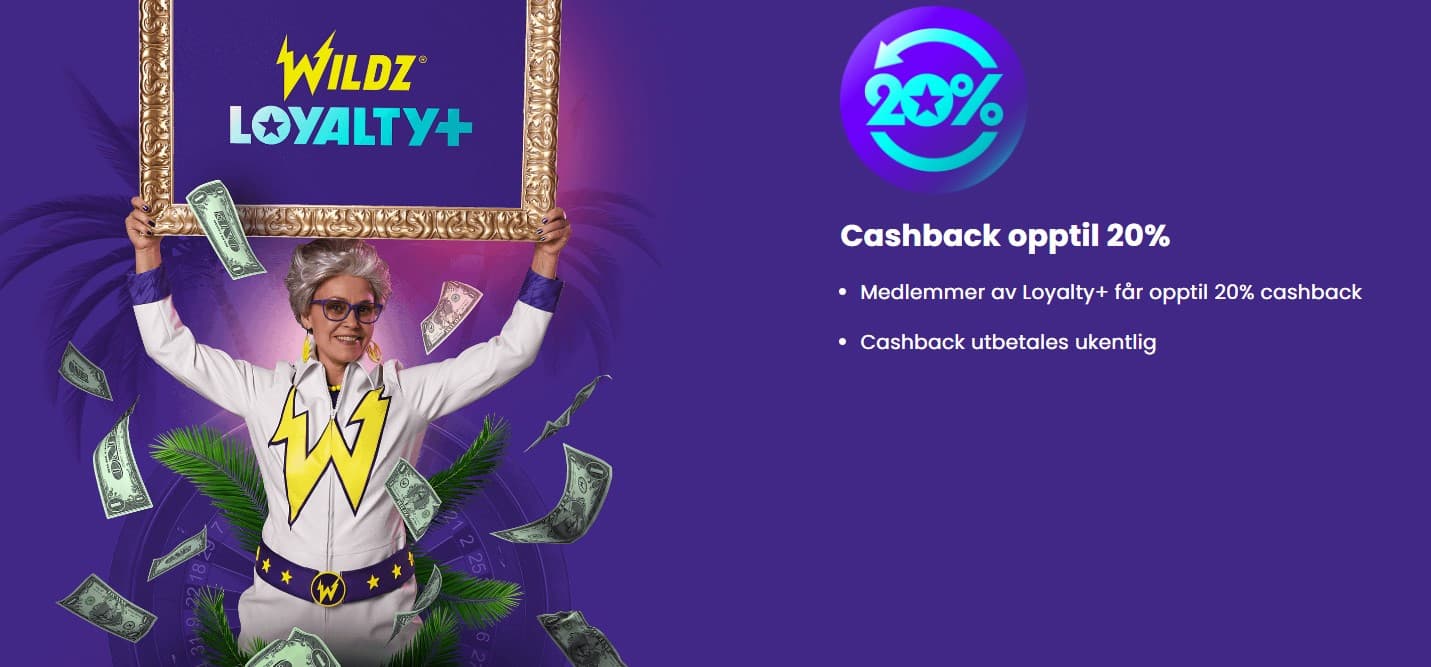 wildz loyality