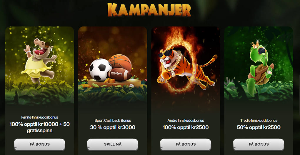 cashwin casino bonuser