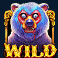 Zombie Carnival symbol Wild
