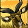Antelope