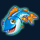 Any Fish
