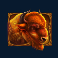 Bison
