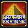 Pyramid Wild