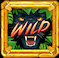 Wild