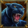 Panther
