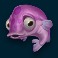 Pink Fish