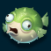  Puffer Fish