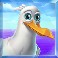 Seagull