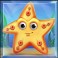 Starfish
