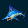 Swordfish