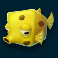 Yellow Fish