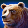 buffalo blitz megaways slot bear symbol
