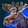buffalo blitz megaways slot moose symbol