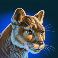 buffalo blitz megaways slot puma symbol