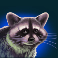 buffalo blitz megaways slot racoon symbol