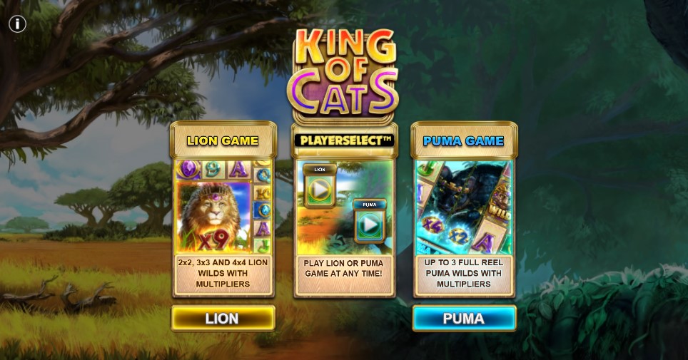 kingofcats main