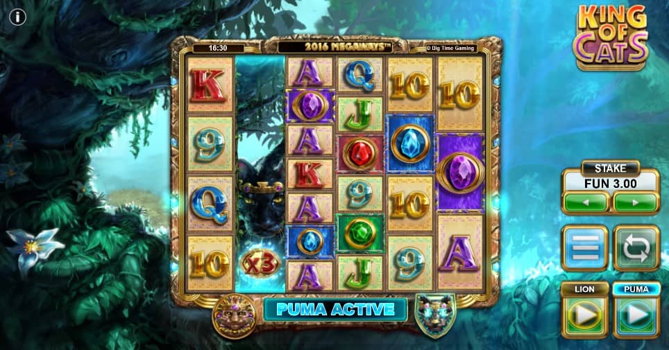 kingofcats play