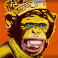 punk toilet slot betty the chimp symbol