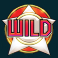 remember gulag slot standard wild symbol