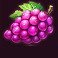 100 joker staxx symbol grape