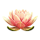 dragons luck sumbol waterlily