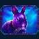 madame mystique megaways slot rabbit symbol