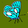 secret garden symbol butterfly
