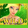 winter wonders symbol fairy wild