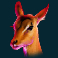 Antelope