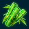 Bamboo