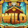 Boat Wild