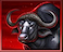 Buffalo