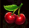 Cherries