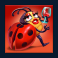 Ladybird