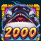 Orca