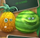 Pineapple/Watermelon