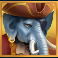 Pirate Elephant