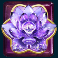 Purple Flower