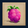 Raspberry