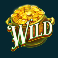 Standard Wild