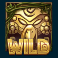 Turkey Totem Head Wild:Scatter